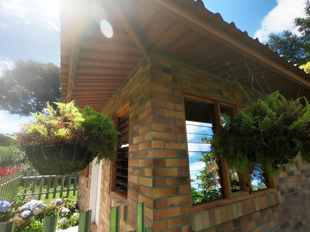 Tribu Ecohostal Los Santos  Exteriör bild