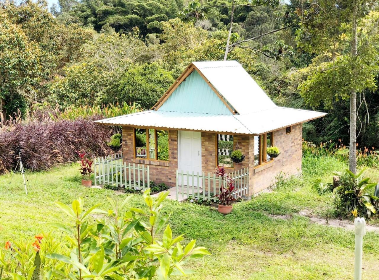 Tribu Ecohostal Los Santos  Exteriör bild